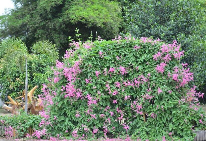 Home Stay Stc Bed And Breakfast