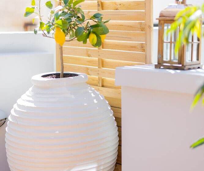 בית מלון כפרי 999 Luxury