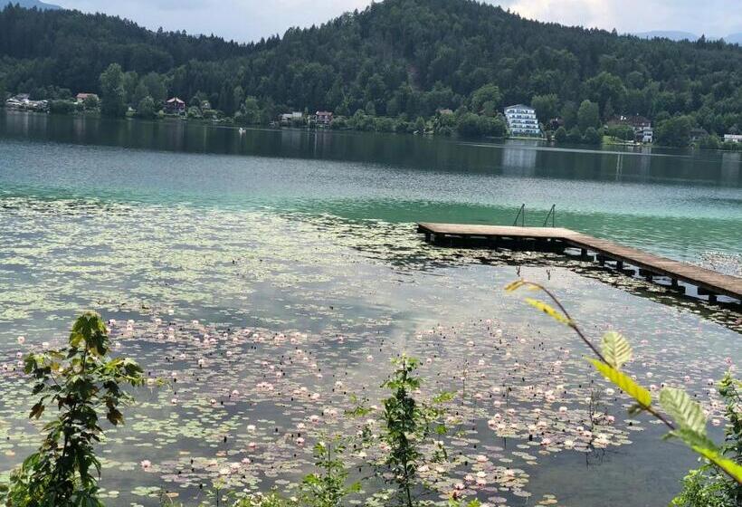 בית מלון כפרי Alex