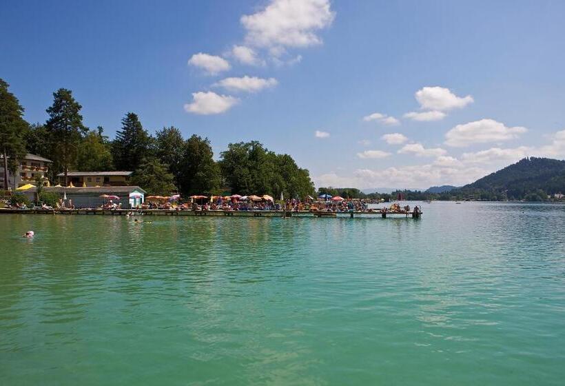 בית מלון כפרי Alex