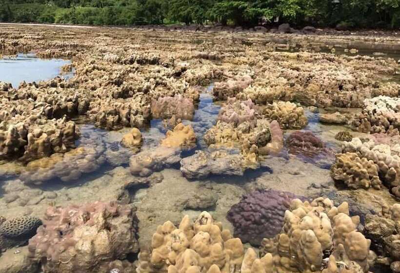 호텔 Aopong Resort