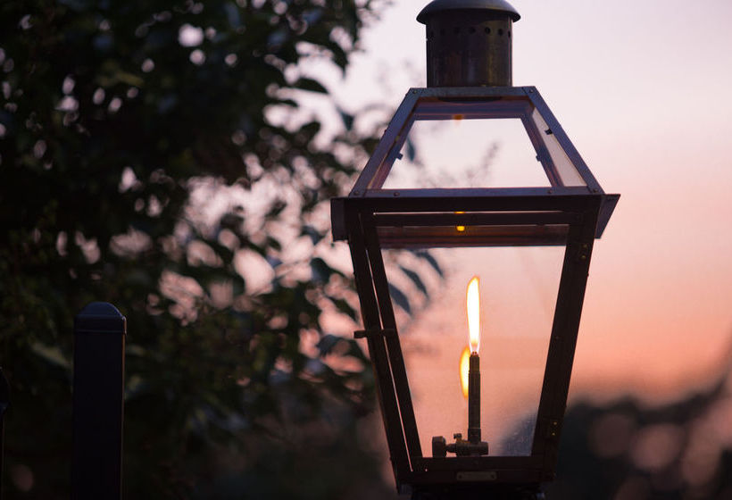 فندق Bunn House  A Boutique