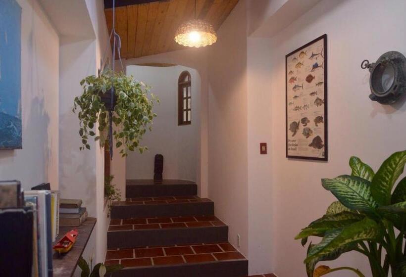 هتل Casa Dos Arcos Bed And Breakfast