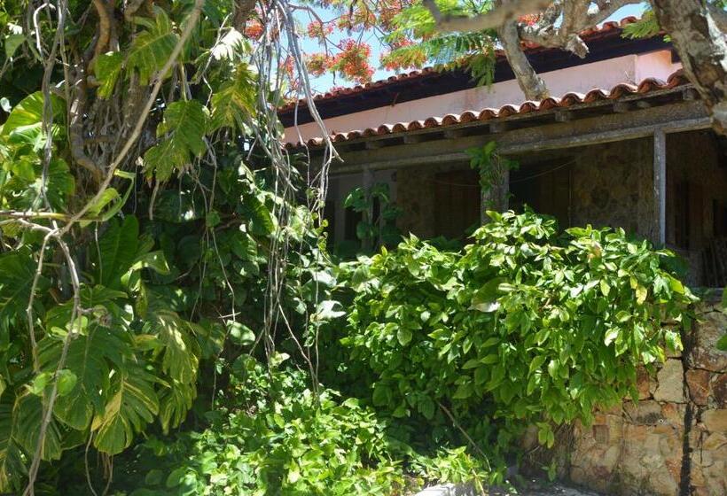 هتل Casa Dos Arcos Bed And Breakfast