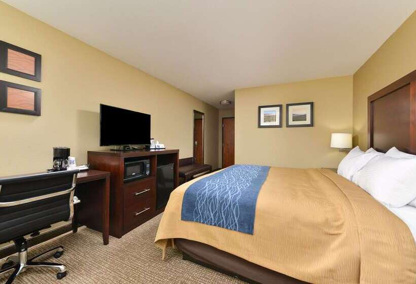 هتل Comfort Inn & Suites Manheim Lebanon