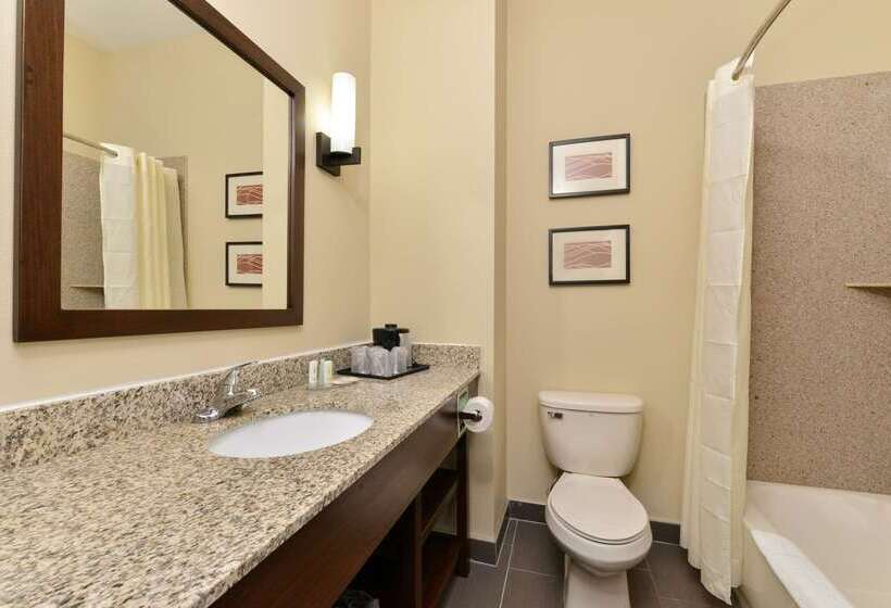 هتل Comfort Inn & Suites Manheim Lebanon