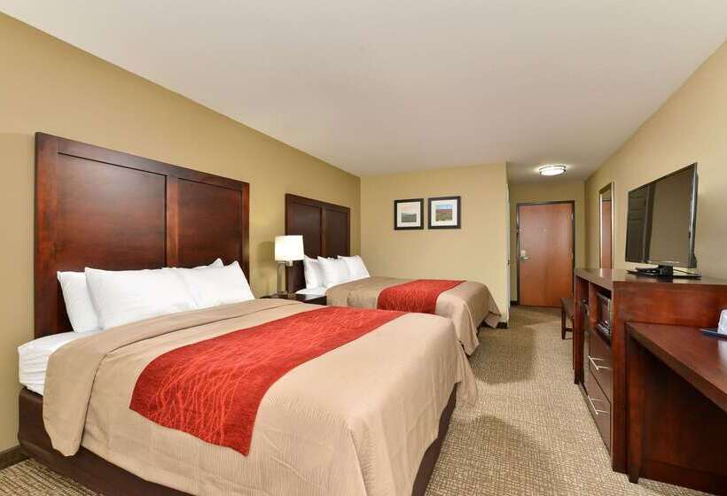 هتل Comfort Inn & Suites Manheim Lebanon