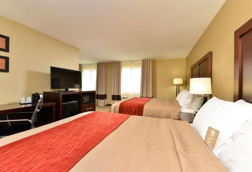 هتل Comfort Inn & Suites Manheim Lebanon