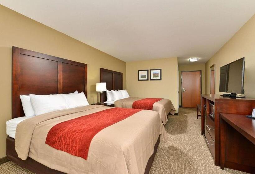 هتل Comfort Inn & Suites Manheim Lebanon