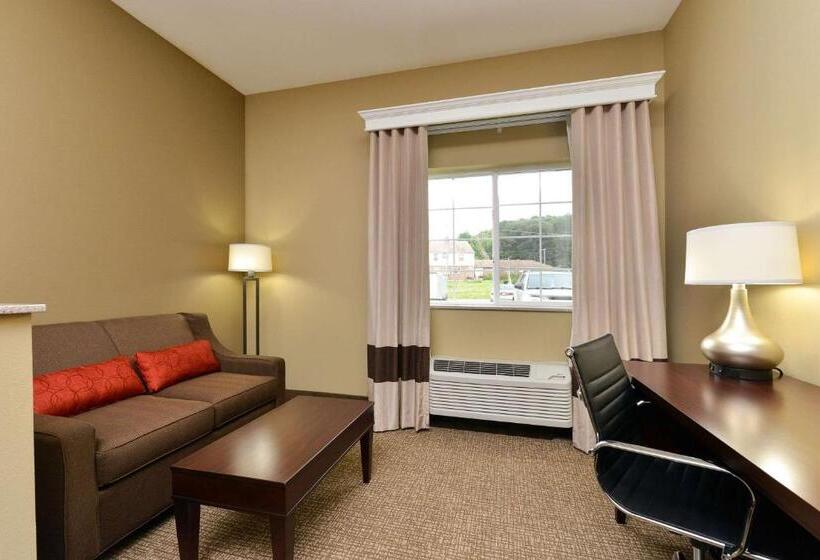 هتل Comfort Inn & Suites Manheim Lebanon