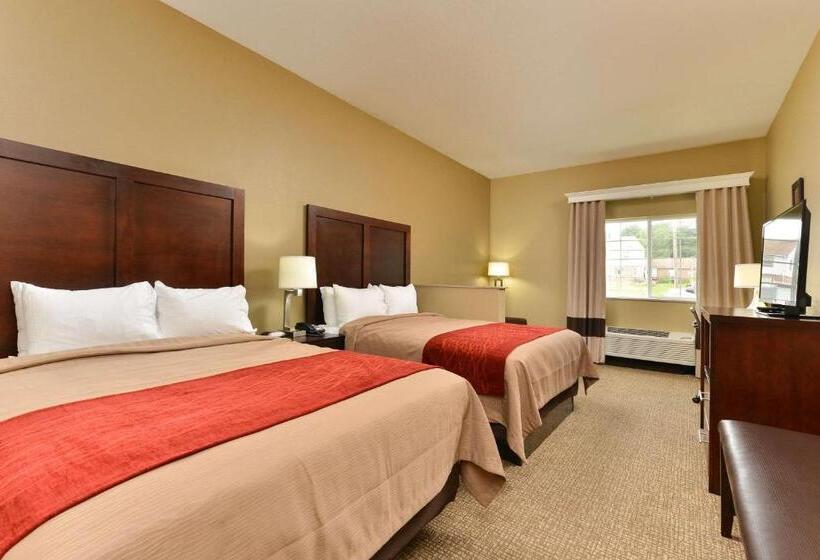 هتل Comfort Inn & Suites Manheim Lebanon