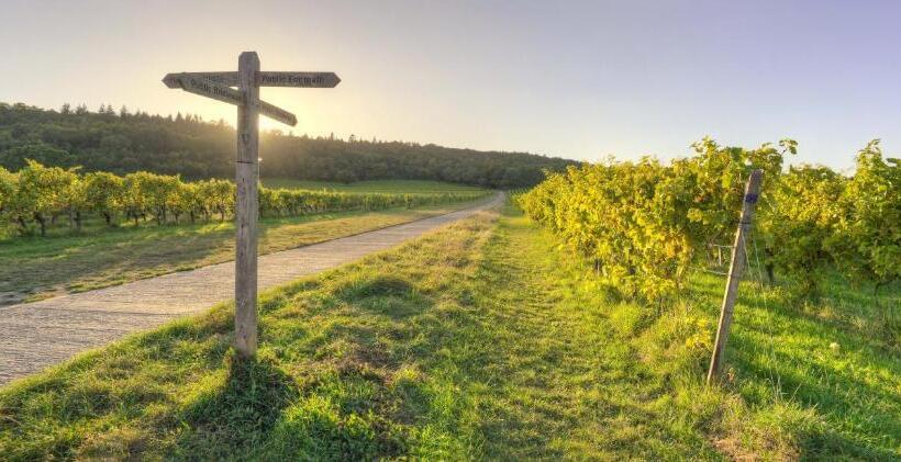 בית מלון כפרי Denbies Vineyard