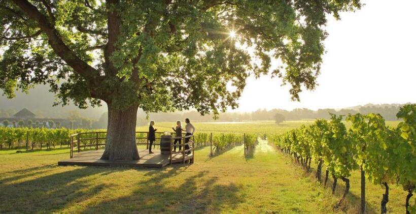 בית מלון כפרי Denbies Vineyard