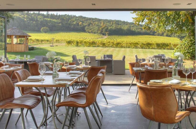 בית מלון כפרי Denbies Vineyard