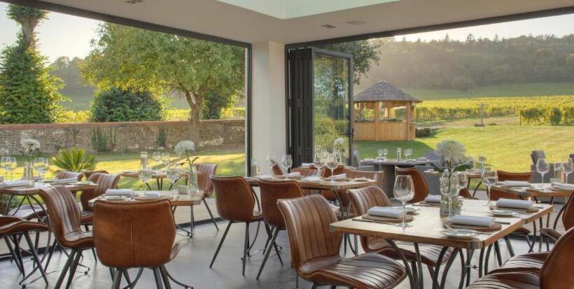 בית מלון כפרי Denbies Vineyard