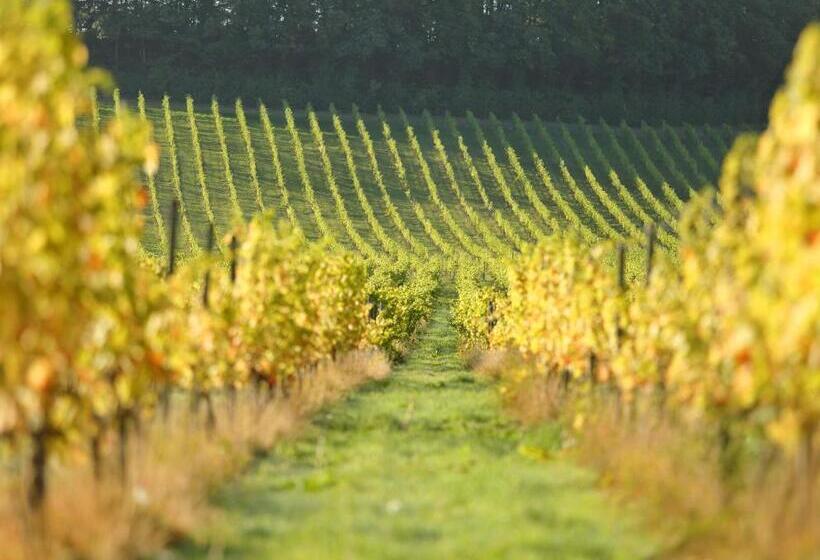 בית מלון כפרי Denbies Vineyard