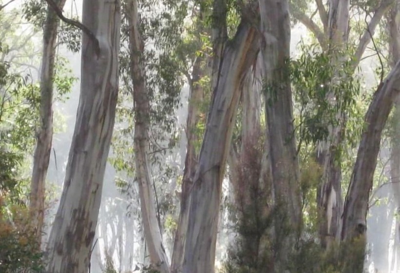 בית מלון כפרי Derwent Bridge Chalets & Studios