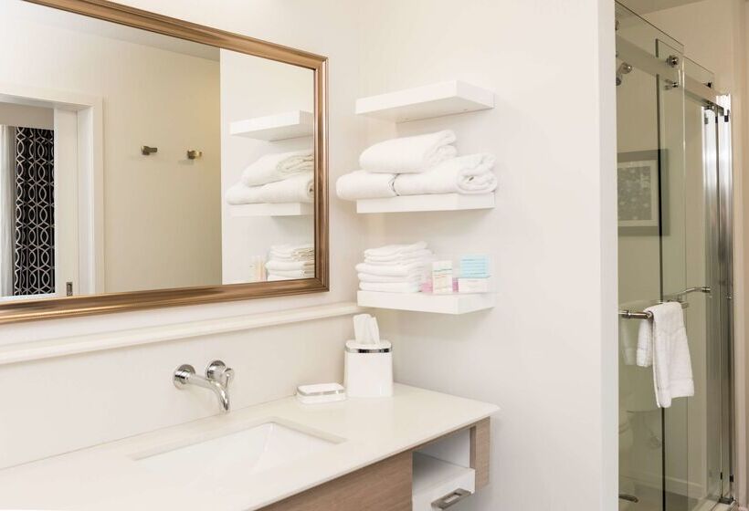 فندق Hampton Inn & Suites La Crosse Downtown