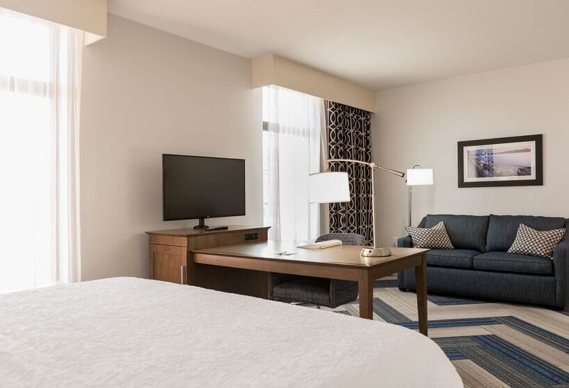 فندق Hampton Inn & Suites La Crosse Downtown