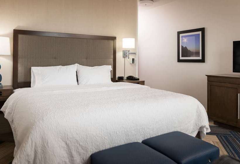 فندق Hampton Inn & Suites La Crosse Downtown