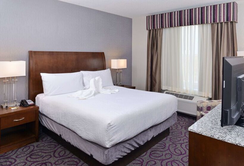 فندق Hilton Garden Inn Hobbs