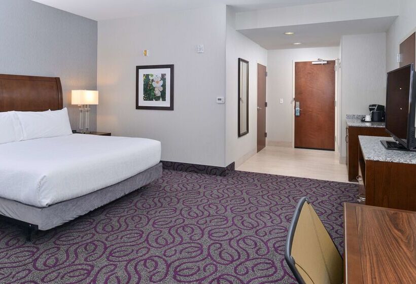 فندق Hilton Garden Inn Hobbs