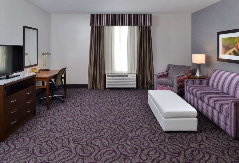 فندق Hilton Garden Inn Hobbs