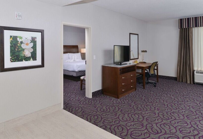 فندق Hilton Garden Inn Hobbs