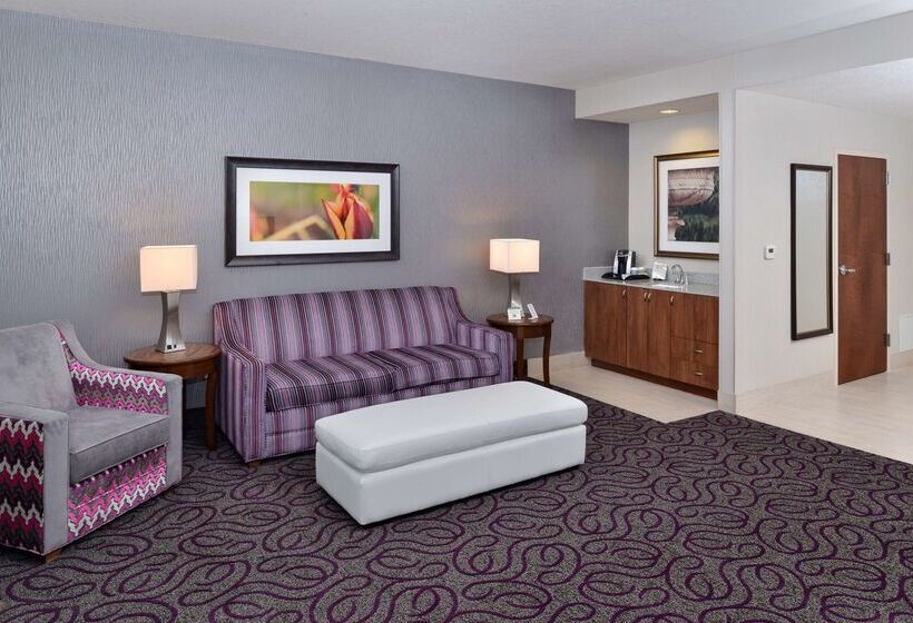 فندق Hilton Garden Inn Hobbs