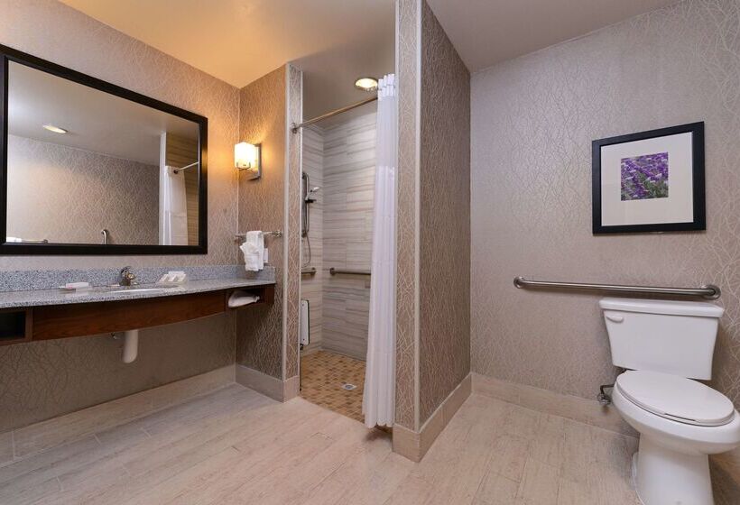 فندق Hilton Garden Inn Hobbs