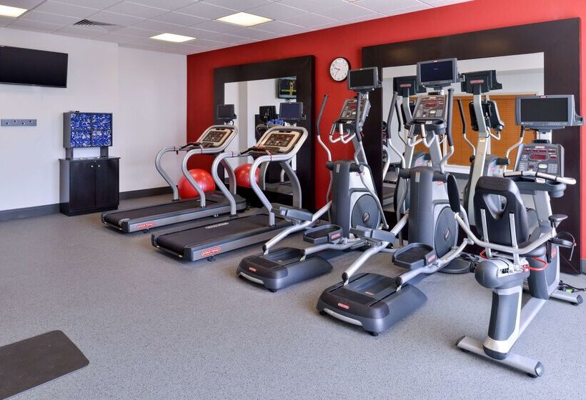 فندق Hilton Garden Inn Hobbs