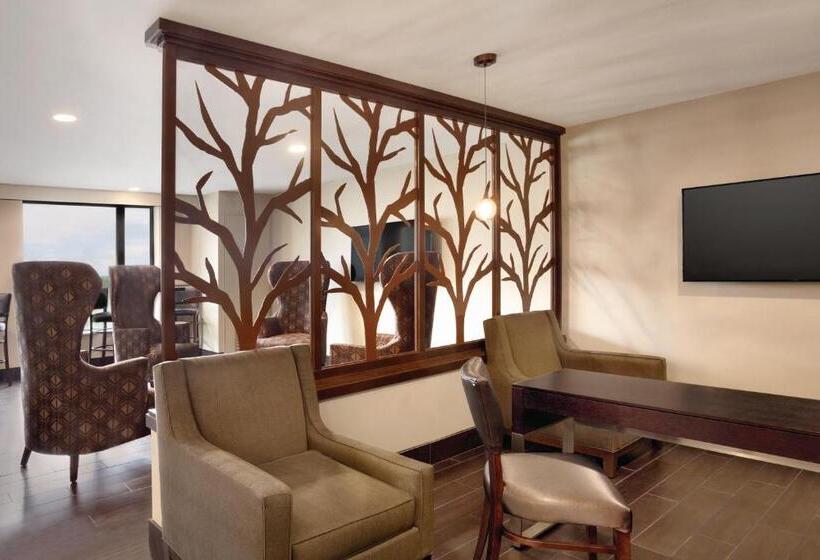 בית מלון כפרי Holiday Inn Chicago Schaumburg, An Ihg