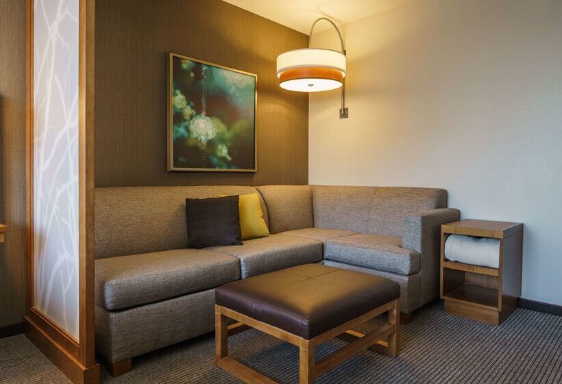 Отель Hyatt Place Houston Galleria