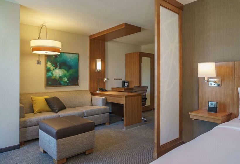 Отель Hyatt Place Houston Galleria