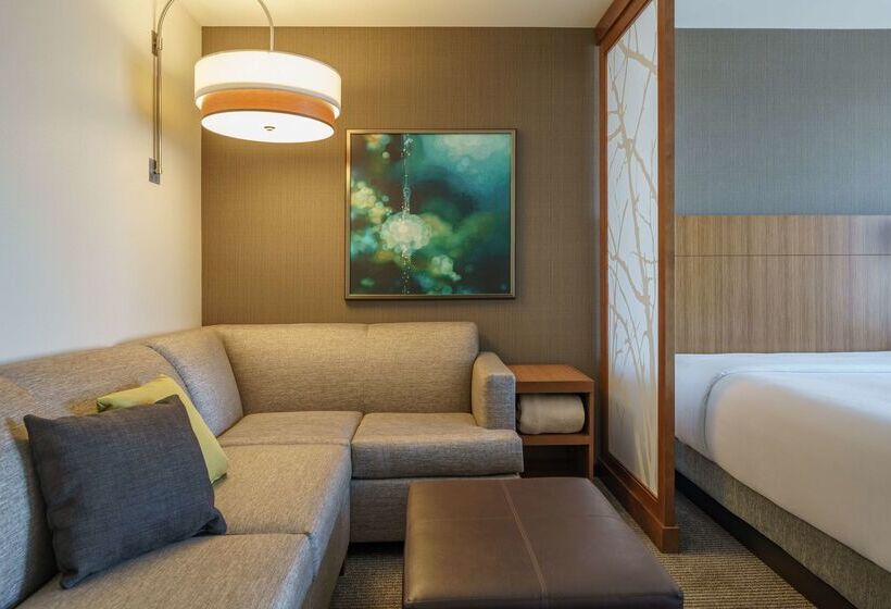 Отель Hyatt Place Houston Galleria