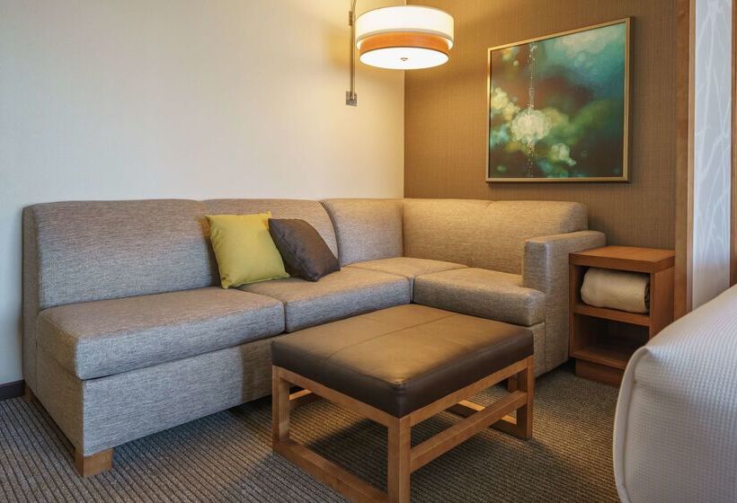 Отель Hyatt Place Houston Galleria