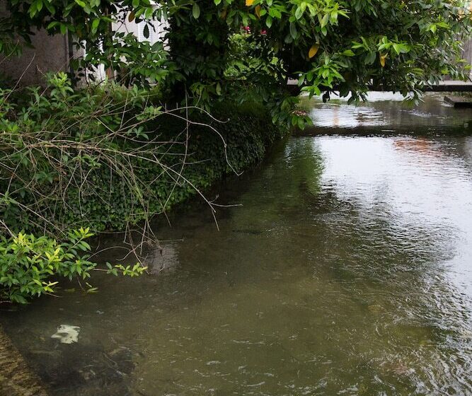 ホテル Il Bosco Di Arichis