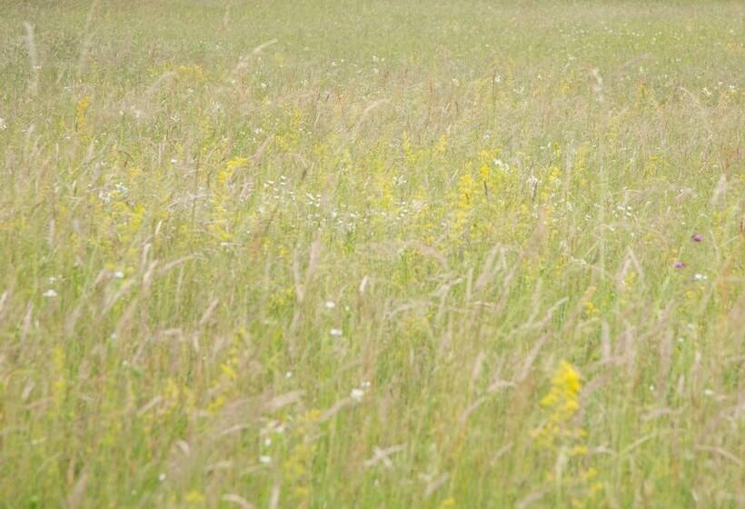 ホテル Il Bosco Di Arichis