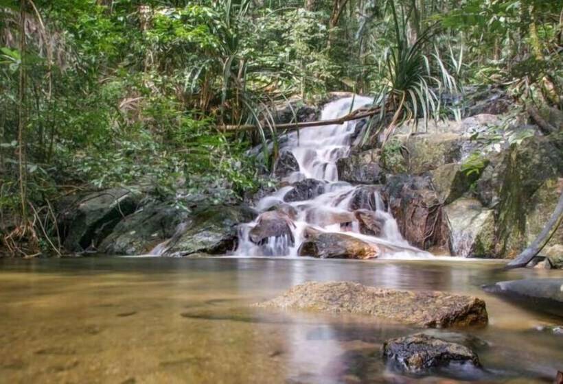 호텔 Lipe Banyan Apartments