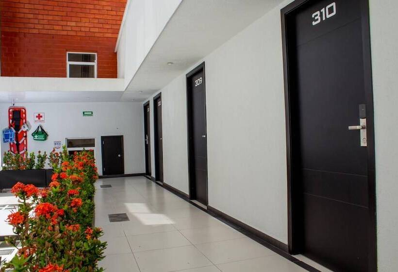 酒店 Metropolitano