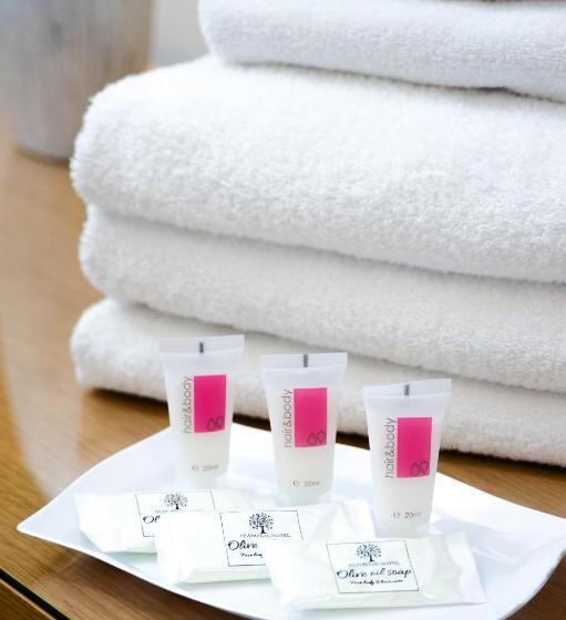 בית מלון כפרי Olympion