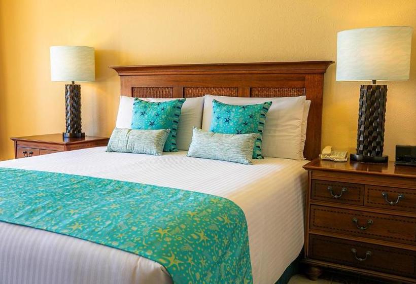 בית מלון כפרי Pierre Mundo Imperial Riviera Diamante Acapulco