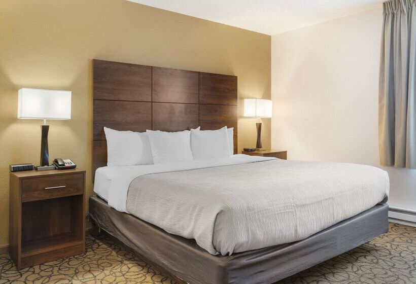 호텔 Quality Inn & Suites