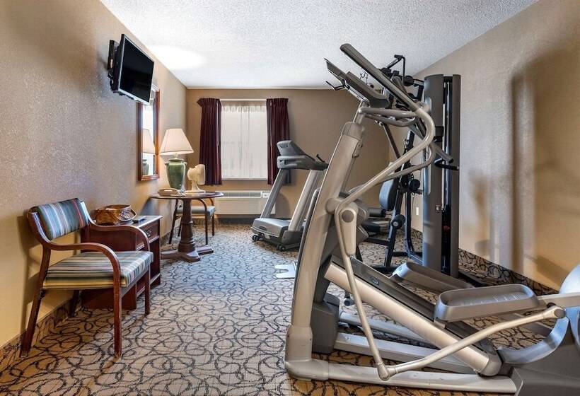 호텔 Quality Inn & Suites