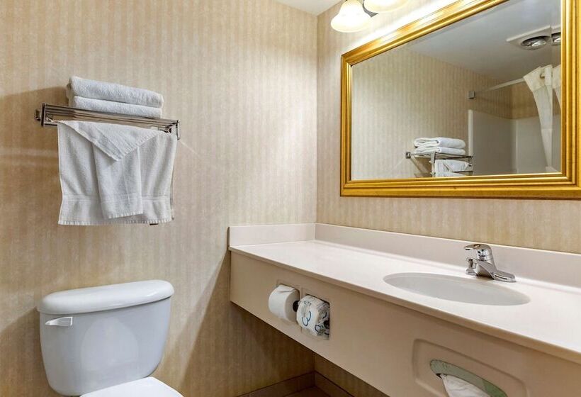 호텔 Quality Inn & Suites