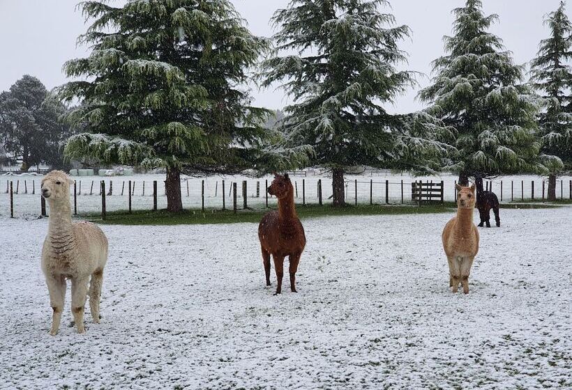 בית מלון כפרי Ruapehu Country Lodge