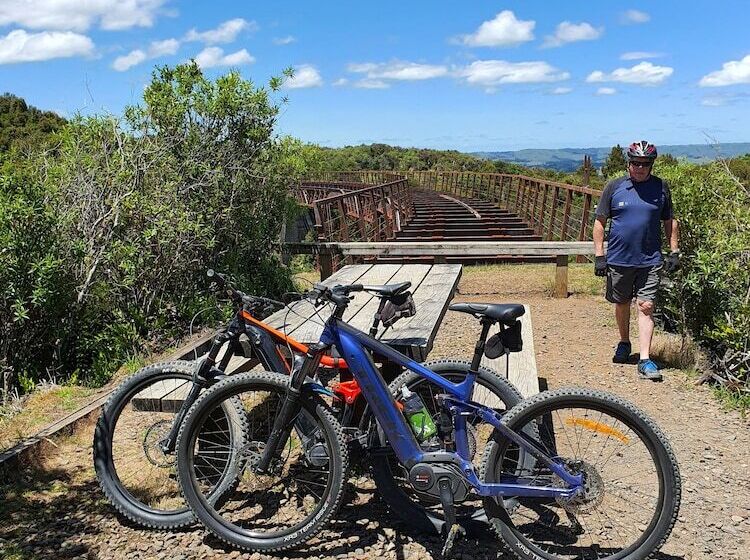 בית מלון כפרי Ruapehu Country Lodge