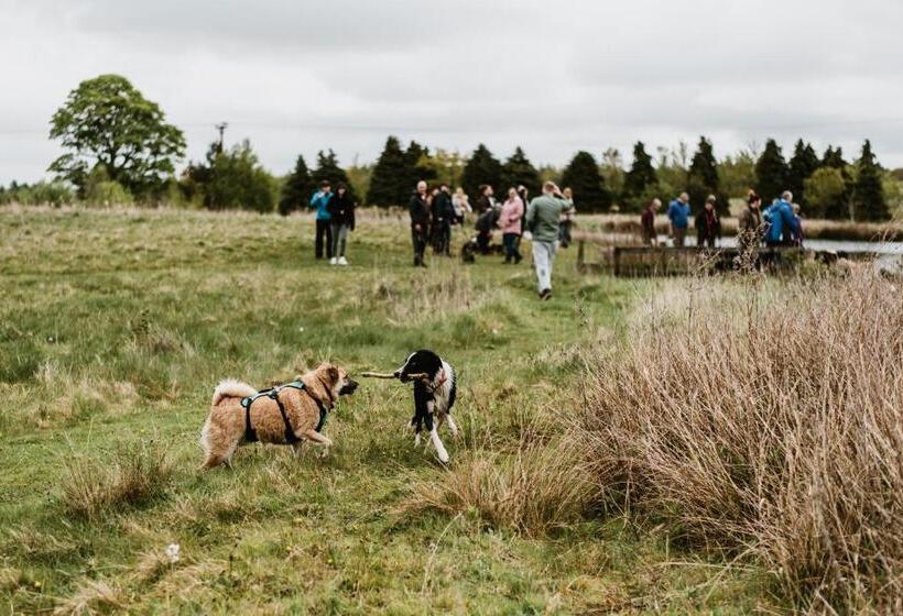 בית מלון כפרי South Causey Inn