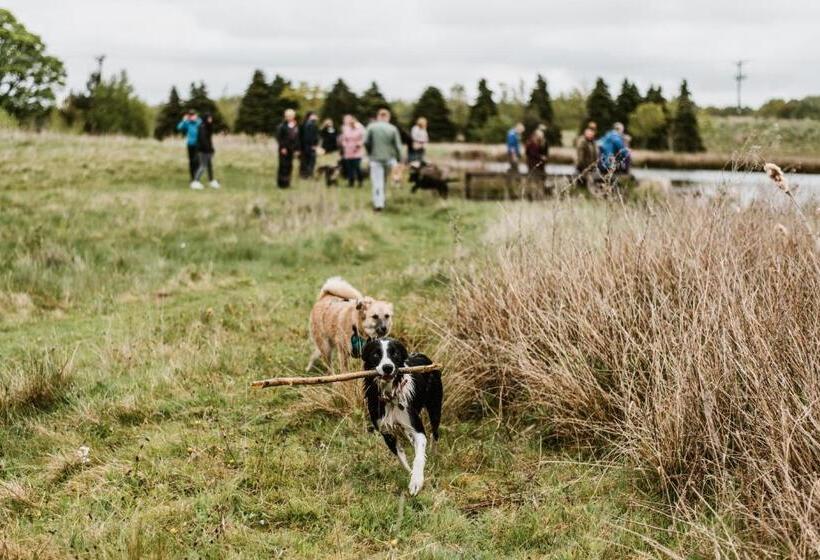 בית מלון כפרי South Causey Inn