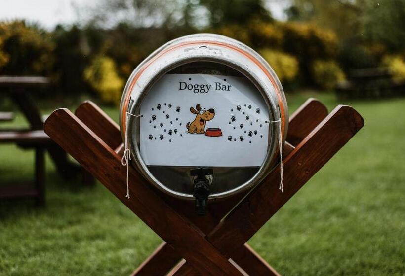 בית מלון כפרי South Causey Inn